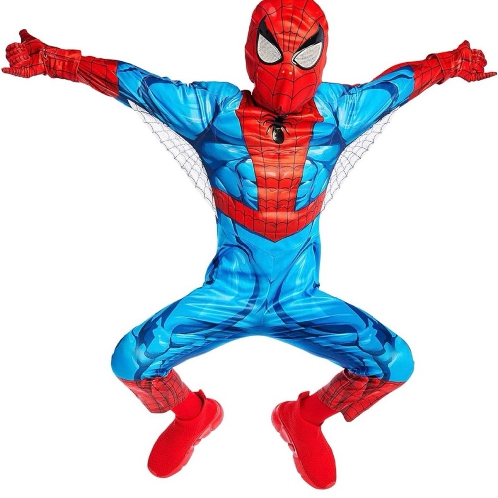 Disney Spider Hero Costume Red and Blue
